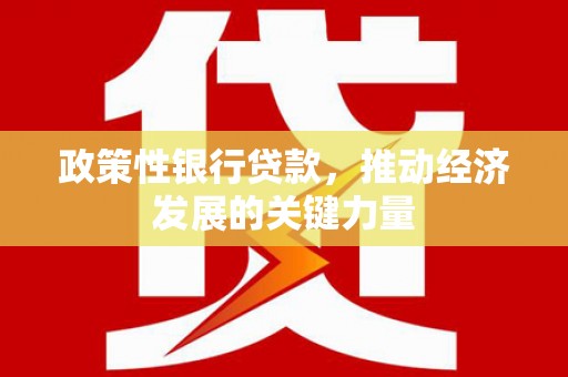 海东政策性银行贷款，推动经济发展的关键力量
