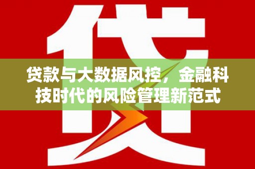 海东贷款与大数据风控，金融科技时代的风险管理新范式