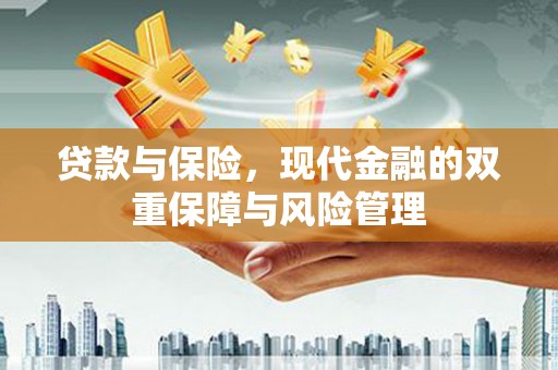 海东贷款与保险，现代金融的双重保障与风险管理