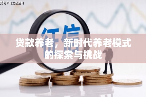 海东贷款养老，新时代养老模式的探索与挑战