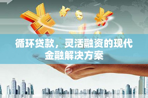 海东循环贷款，灵活融资的现代金融解决方案