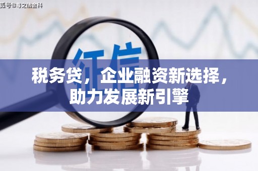 海东税务贷，企业融资新选择，助力发展新引擎