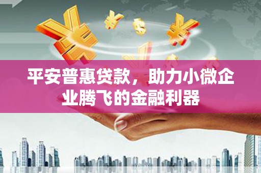 海东平安普惠贷款，助力小微企业腾飞的金融利器