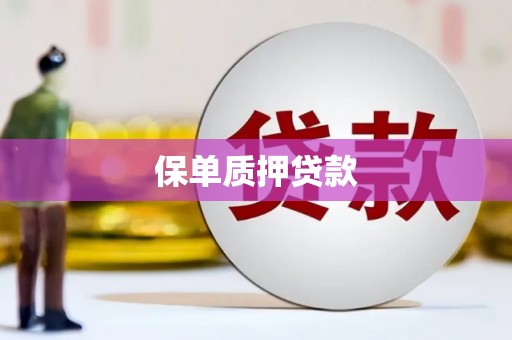 海东保单质押贷款