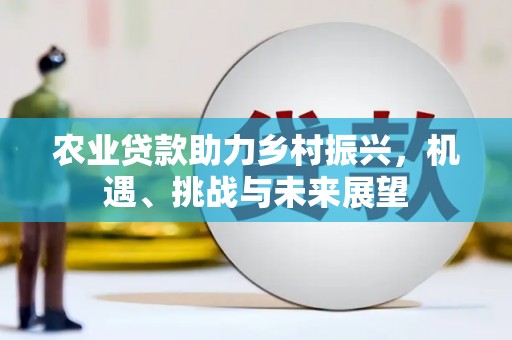 海东农业贷款助力乡村振兴，机遇、挑战与未来展望