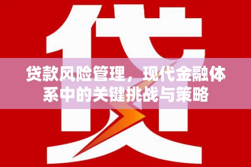 海东贷款风险管理，现代金融体系中的关键挑战与策略
