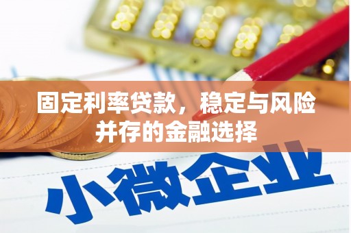 海东固定利率贷款，稳定与风险并存的金融选择