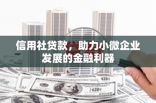 海东信用社贷款，助力小微企业发展的金融利器