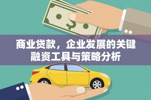 海东商业贷款，企业发展的关键融资工具与策略分析