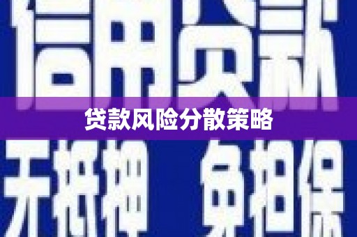 海东贷款风险分散策略