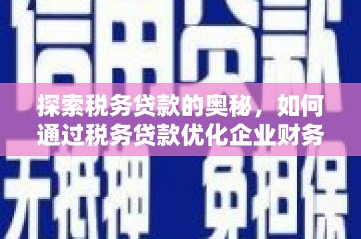 海东探索税务贷款的奥秘，如何通过税务贷款优化企业财务