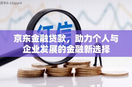 海东京东金融贷款，助力个人与企业发展的金融新选择