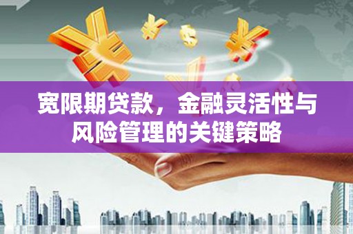 海东宽限期贷款，金融灵活性与风险管理的关键策略