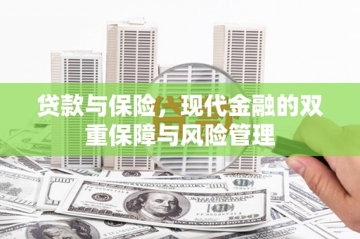 海东贷款与保险，现代金融的双重保障与风险管理