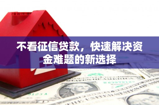 海东不看征信贷款，快速解决资金难题的新选择