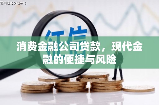 海东消费金融公司贷款，现代金融的便捷与风险