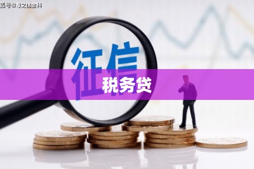 海东税务贷