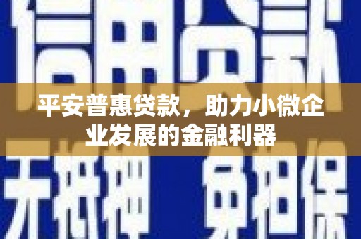 海东平安普惠贷款，助力小微企业发展的金融利器