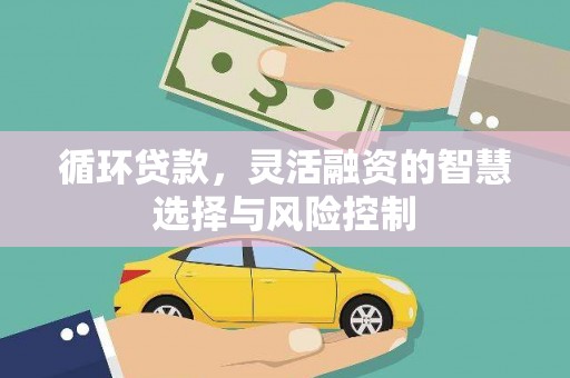 海东循环贷款，灵活融资的智慧选择与风险控制