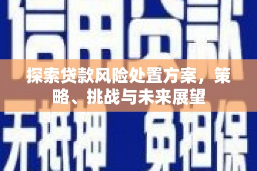 海东探索贷款风险处置方案，策略、挑战与未来展望
