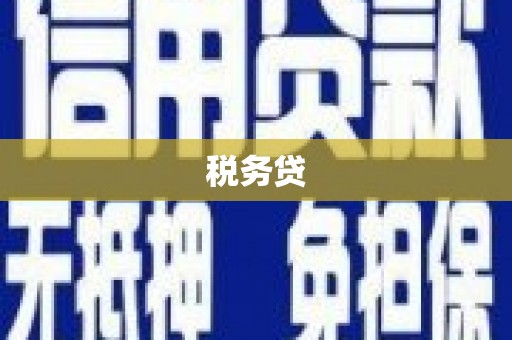 海东税务贷