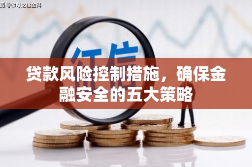 海东贷款风险控制措施，确保金融安全的五大策略