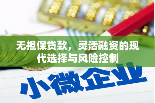 海东无担保贷款，灵活融资的现代选择与风险控制