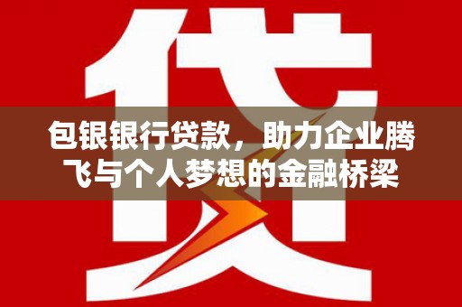 海东包银银行贷款，助力企业腾飞与个人梦想的金融桥梁