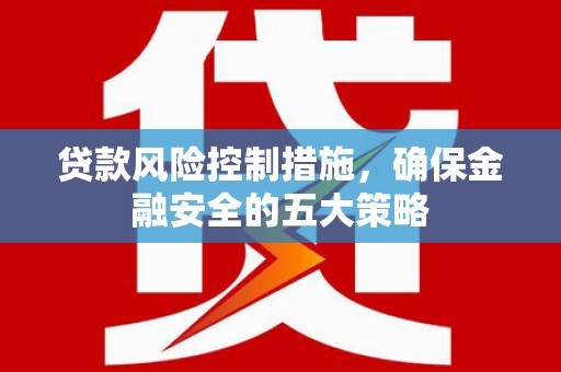 海东贷款风险控制措施，确保金融安全的五大策略