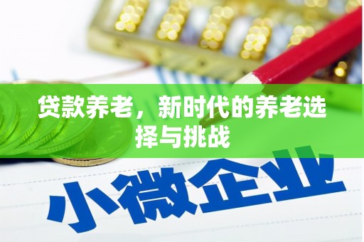 海东贷款养老，新时代的养老选择与挑战