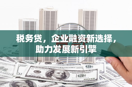 海东税务贷，企业融资新选择，助力发展新引擎