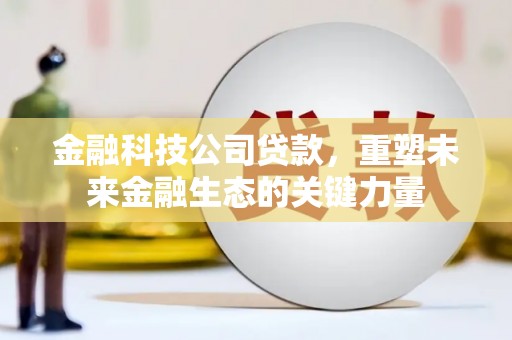 海东金融科技公司贷款，重塑未来金融生态的关键力量