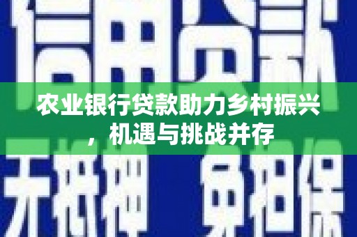 海东农业银行贷款助力乡村振兴，机遇与挑战并存