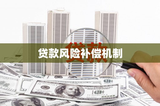 海东贷款风险补偿机制