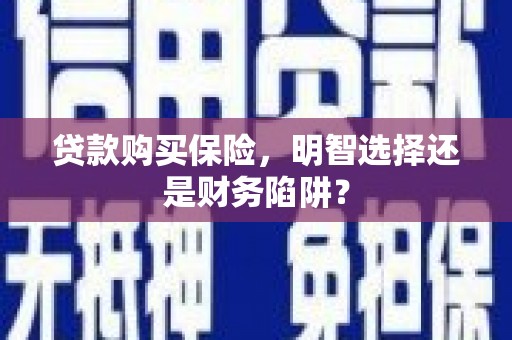 海东贷款购买保险，明智选择还是财务陷阱？