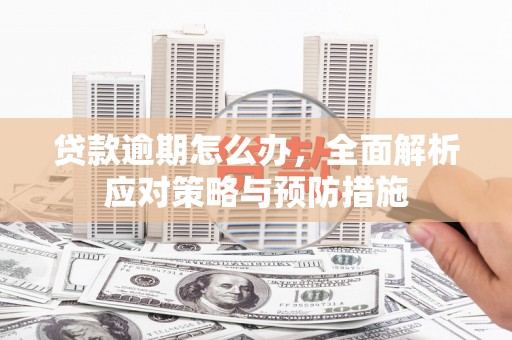 海东贷款逾期怎么办，全面解析应对策略与预防措施