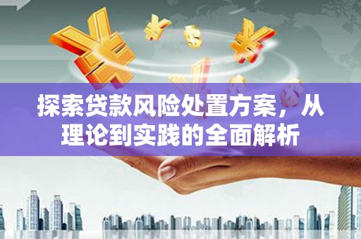 海东探索贷款风险处置方案，从理论到实践的全面解析