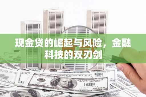 海东现金贷的崛起与风险，金融科技的双刃剑