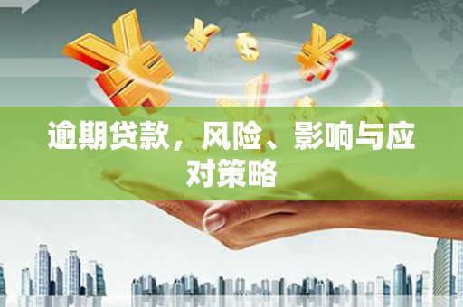 海东逾期贷款，风险、影响与应对策略