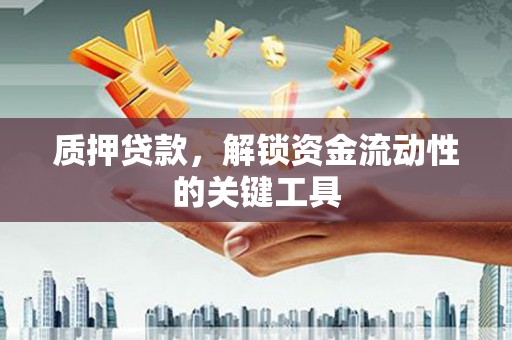 海东质押贷款，解锁资金流动性的关键工具