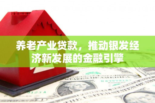 海东养老产业贷款，推动银发经济新发展的金融引擎