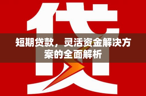海东短期贷款，灵活资金解决方案的全面解析