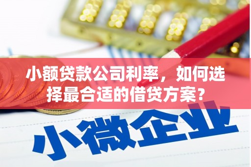 海东小额贷款公司利率，如何选择最合适的借贷方案？