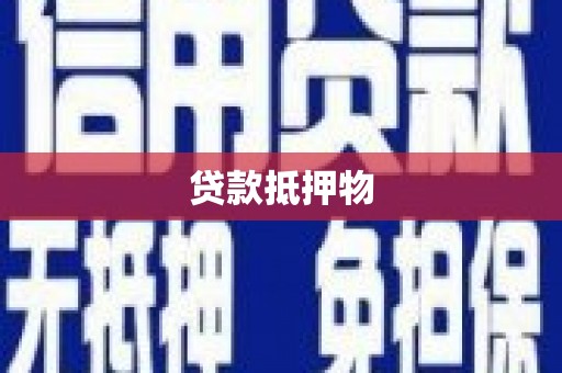 海东贷款抵押物