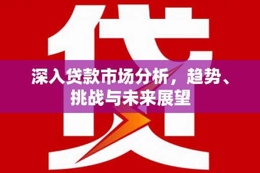 海东深入贷款市场分析，趋势、挑战与未来展望