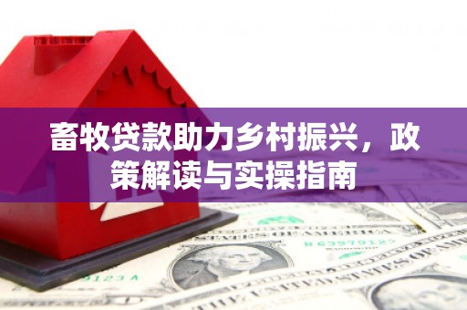 海东畜牧贷款助力乡村振兴，政策解读与实操指南