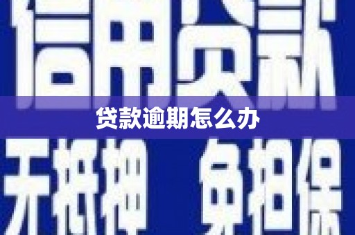 海东贷款逾期怎么办