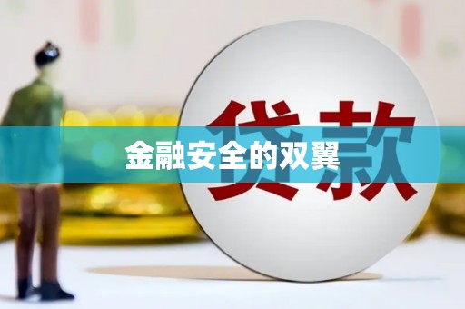 海东金融安全的双翼