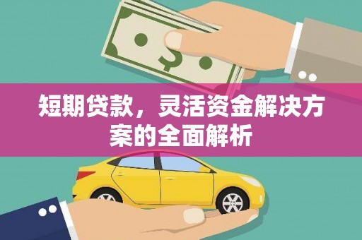海东短期贷款，灵活资金解决方案的全面解析