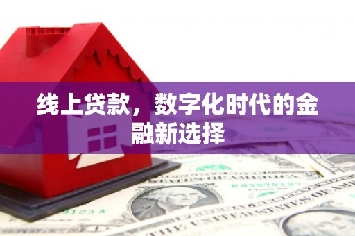 海东线上贷款，数字化时代的金融新选择